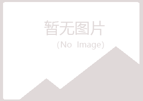 偃师幻莲化学有限公司